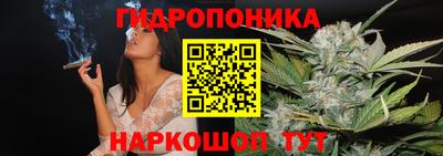 бошки Аргун