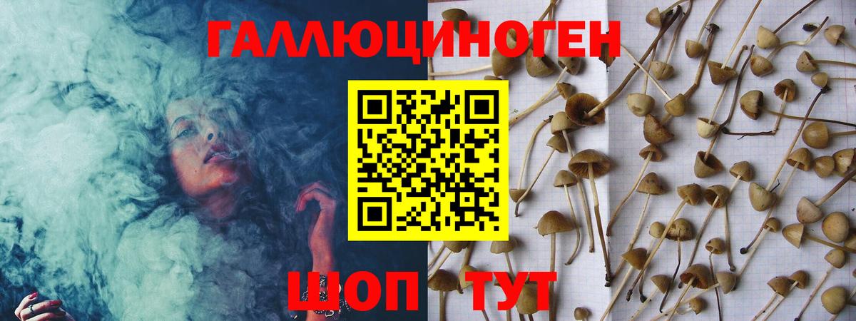Галлюциногенные грибы Cubensis  Вход с VPN  Архангельск 